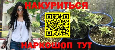 эйфоретик Краснодар