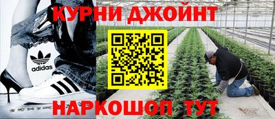 эйфоретик Краснодар