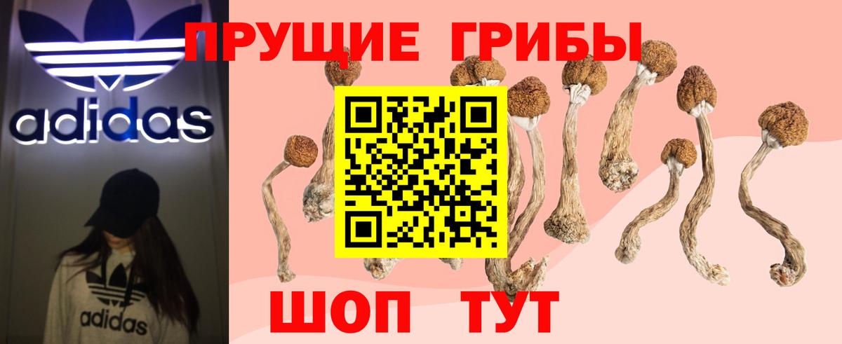 Псилоцибиновые грибы Cubensis  Галлюциногенные грибы Psilocybine cubensis  где продают   Железноводск  Вход с VPN 